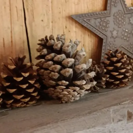 Appartement De Charme Classe 3 Etoiles Dans Ferme Du Xixe Restauree *