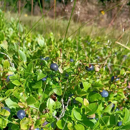 De Charme Classe 3 Etoiles Dans Ferme Du Xixe Restauree Appartement *