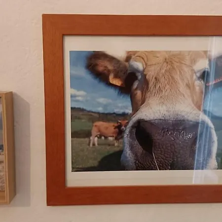 Appartement De Charme Classe 3 Etoiles Dans Ferme Du Xixe Restauree