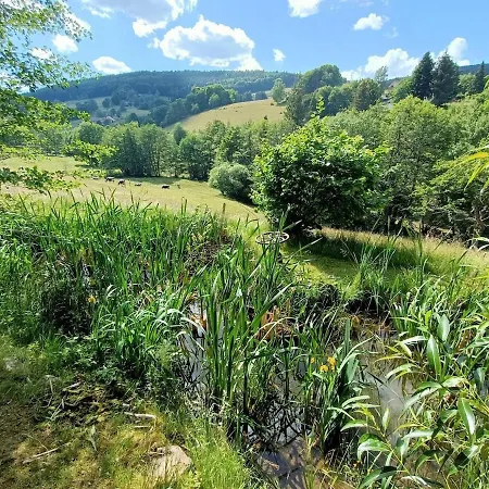 Apartment De Charme Classe 3 Etoiles Dans Ferme Du Xixe Restauree Le Hohwald