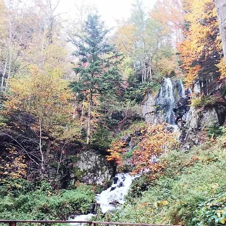 Appartement De Charme Classe 3 Etoiles Dans Ferme Du Xixe Restauree