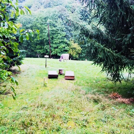 De Charme Classe 3 Etoiles Dans Ferme Du Xixe Restauree Le Hohwald