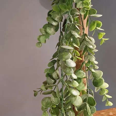 De Charme Classe 3 Etoiles Dans Ferme Du Xixe Restauree * Le Hohwald