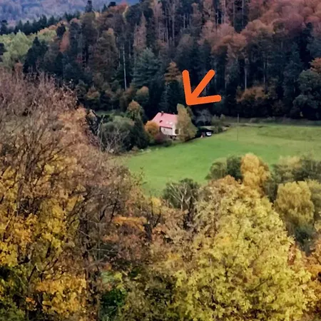 Apartment De Charme Classe 3 Etoiles Dans Ferme Du Xixe Restauree Le Hohwald