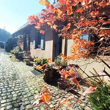 De Charme Classe 3 Etoiles Dans Ferme Du Xixe Restauree Le Hohwald